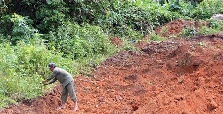 Có cấp sổ đỏ cho đất hoang được giao để sản xuất hay không?