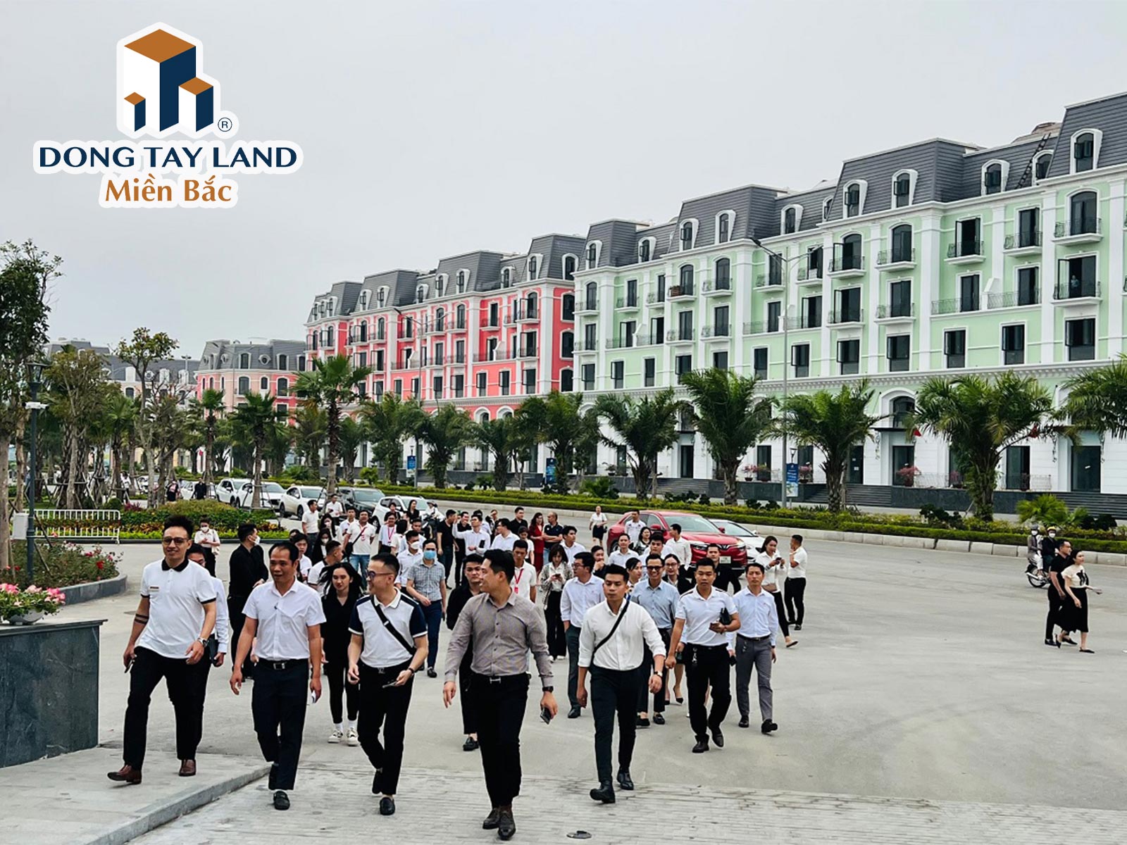Dự án Đồi Rồng Đồ Sơn có gì