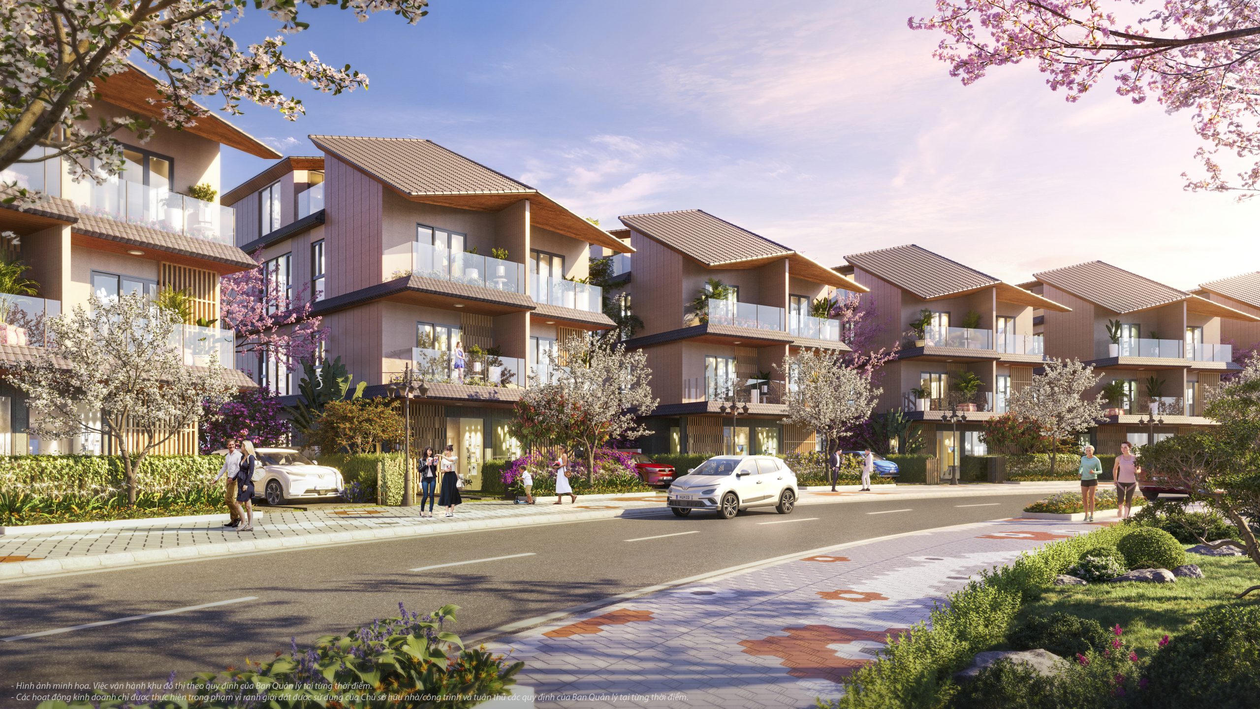 Thiết kế biệt thự song lập