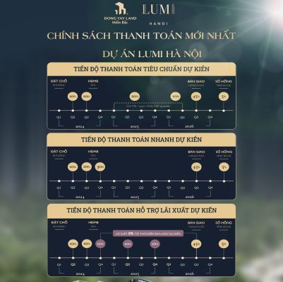 Chính sách dự án Lumi Hà Nội